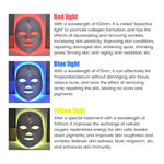 Rechargeable LED Photon Therapy Mask
